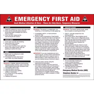 Accuform MFSD604VP 14" x 20" Plastic Poster: "Emergency First Aid"