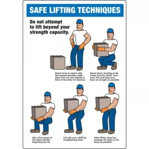 Accuform MGNF512VS Adhesive Vinyl Sign "Safe Lifting Techniques"