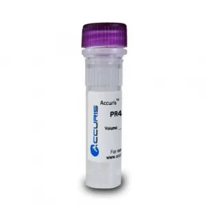 Accuris Instruments PR4100-500 SmartCheck 1kb DNA Ladder