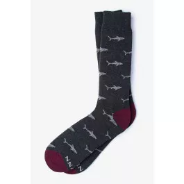 Alynn Socks Shark Bait Cotton - Charcoal