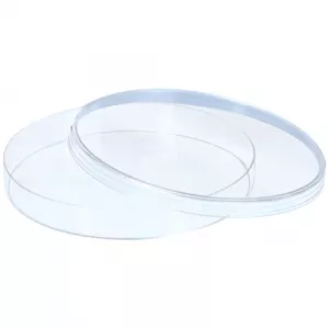 Dynalon 402024-0000 Transparent Polystyrene Petri Dish
