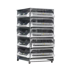 GQF 0540 Deck Game Bird/Poultry Battery Brooder