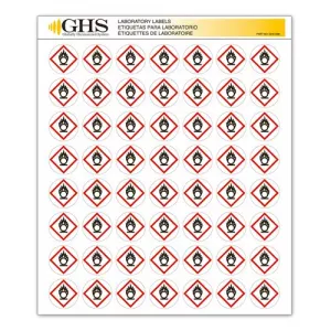 Incom GHS1208 1" Flame Circle Pictogram Label