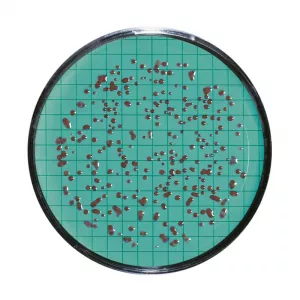 Sartorius 14055--47------N Nutrient Pad with Filter