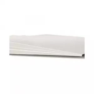 Sartorius FT-2-103-580580 Quantitative Papers/ Grade 390