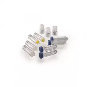Sartorius VS-AVPQ022 Vivapure Kit for Fast Purification